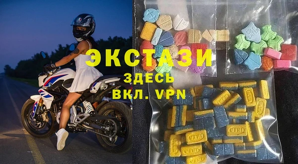 крисы Богородицк