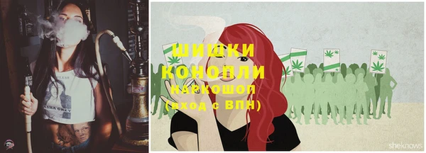 крисы Богородицк