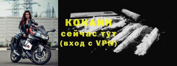 крисы Богородицк