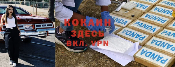 крисы Богородицк