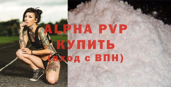 крисы Богородицк