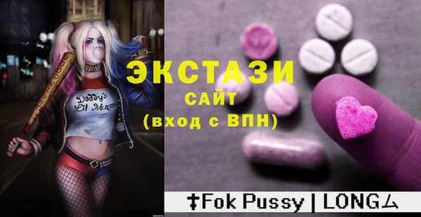 крисы Богородицк