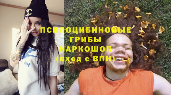 крисы Богородицк