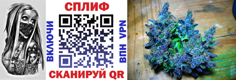 Бошки марихуана гибрид  Калуга 